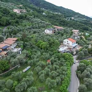 Mgh Torri Del Benaco